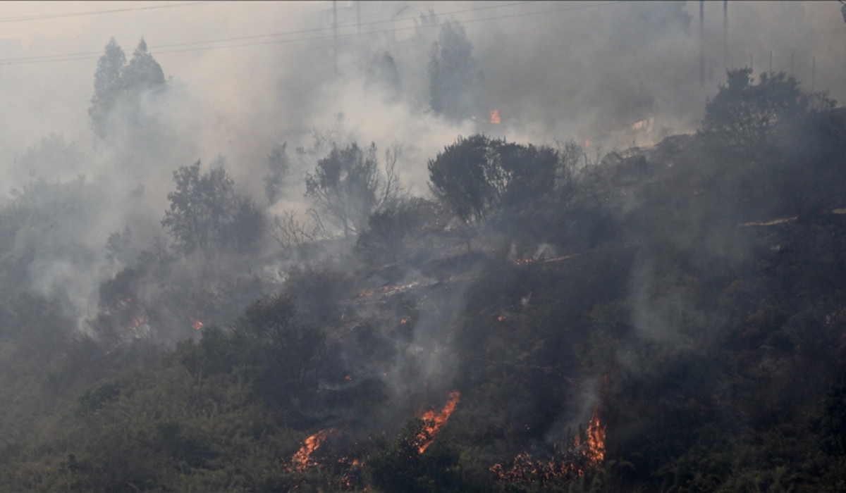 Chile Wildfires Death Toll Climbs to 112